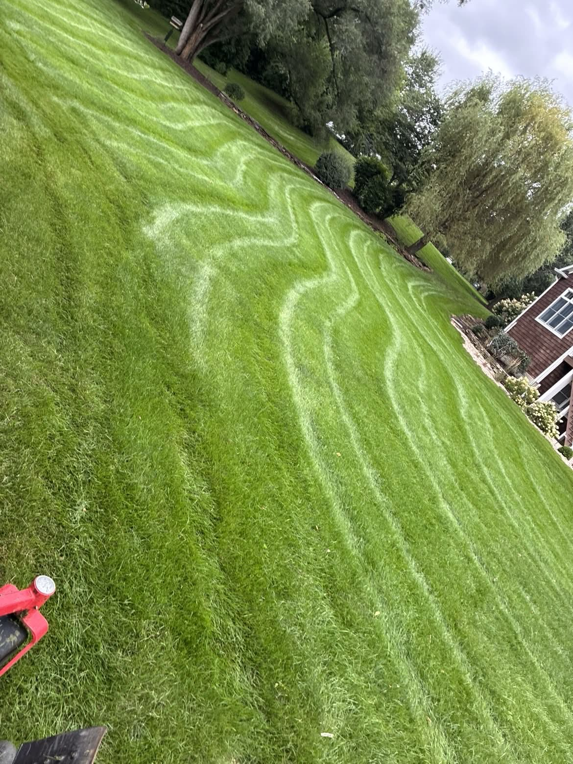 Fertilizer applied in wavy streaks across a large lawn