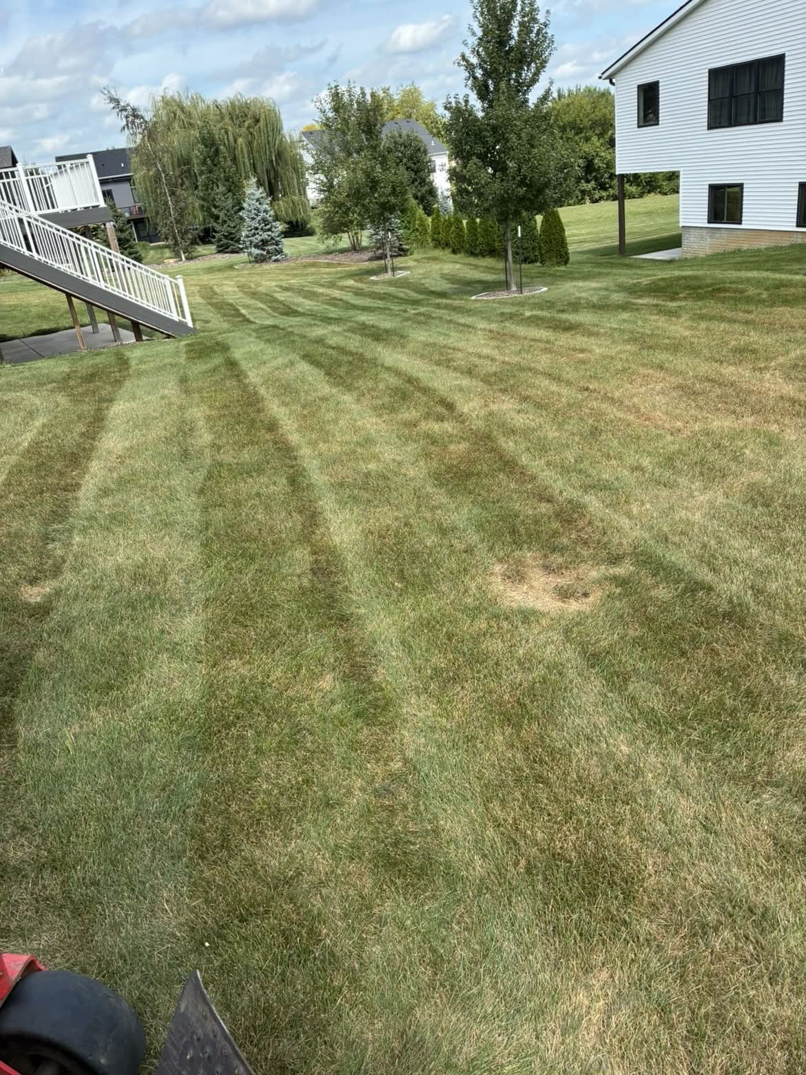 Freshly mowed stripes on a backyard lawn